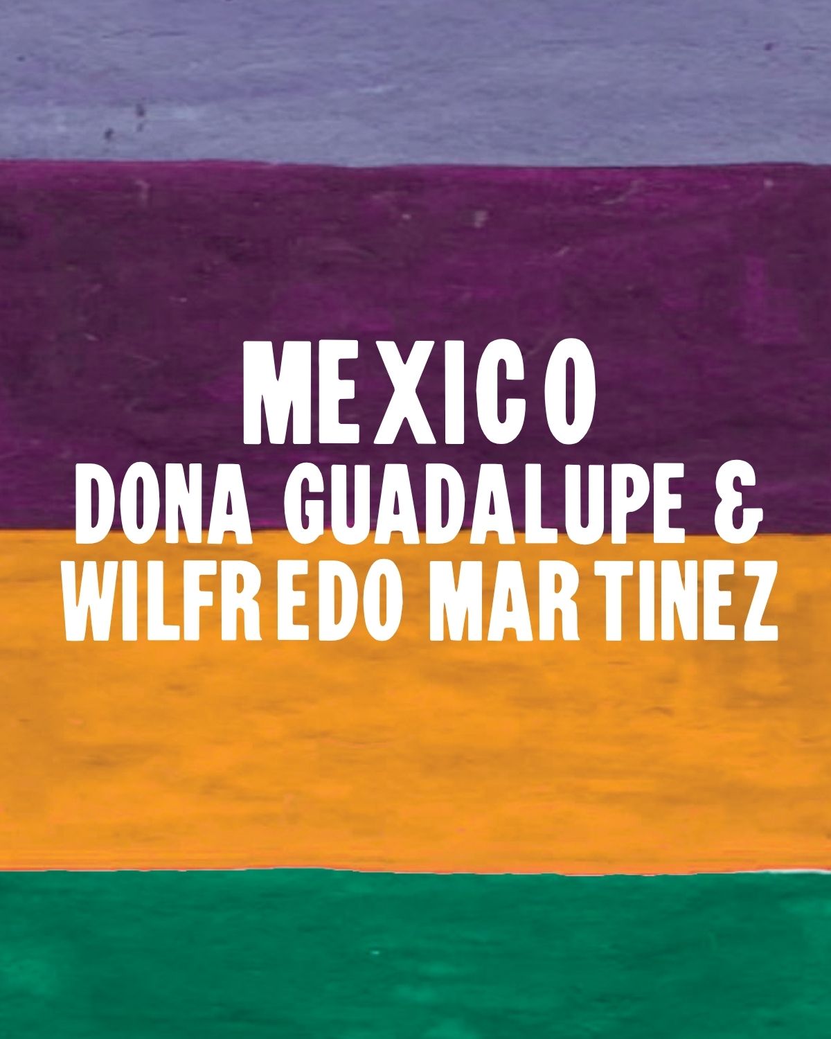 Dona Guadalupe &amp; Wilfredo Martinez - Filter