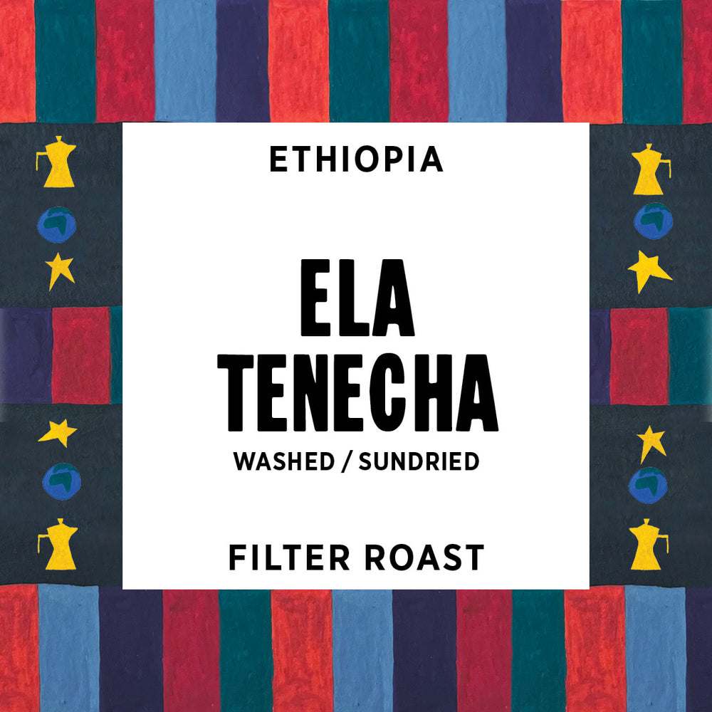 Ethiopia - Ela Tenecha - Filter